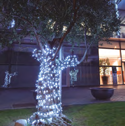 il-lumina-200-3-NAVIDAD 2021_2022-_Página_55_Imagen_0001